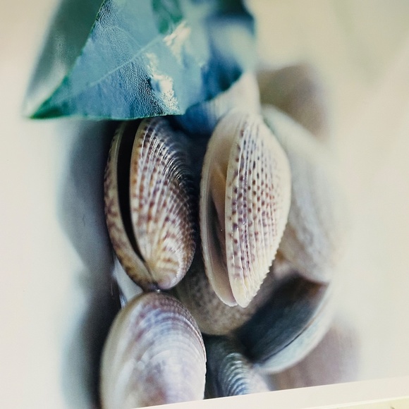 fresh Michelle Cranston Paperback Coffee Table Cookbook Book - Picture 11 of 16